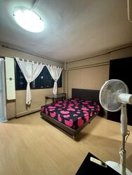 Blk 245 Hougang Heights (Hougang), HDB 5 Rooms #460780591